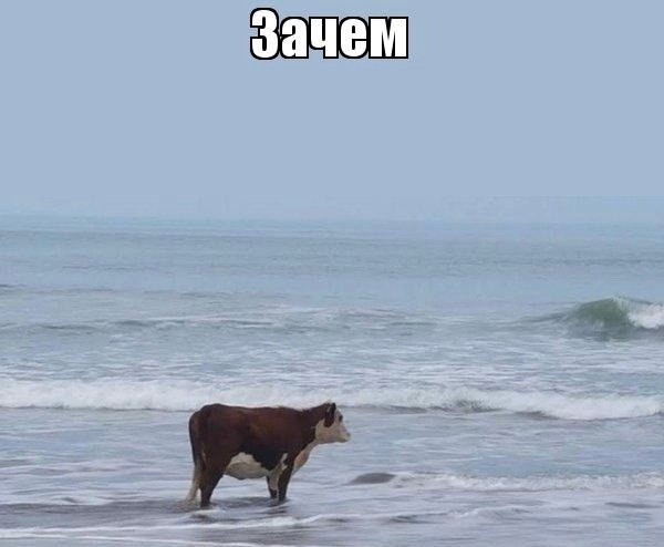 Ответ fxabc2000 в &laquo;Кто такие зуммеры и почему их ненавидят?&raquo;
